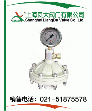 PP、PVDF脈沖阻尼器